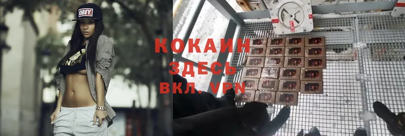 COCAIN Колумбийский  кракен ссылки  Прохладный 